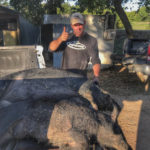 hog hunts