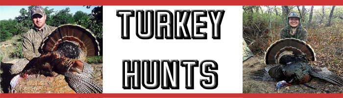 turkeyheader2 turkeyheader2