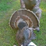 Cheap Texas turkey hunts