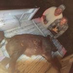 cheap hog hunts in texas