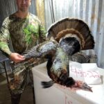 texas turkey hunts