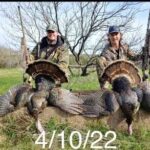 Cheap Texas turkey hunts