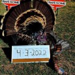 texas turkey hunts