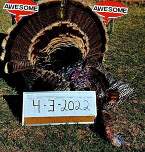 texas turkey hunts