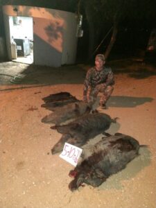 Texas Hog Hunts