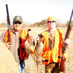 Upland bird hunts
