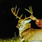 Deer hunt