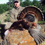 turkey hunts